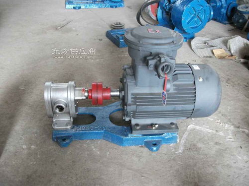 紅旗高溫泵廠專業(yè)設(shè)計(jì)生產(chǎn) 2cy 12 2.5齒輪油泵圖片