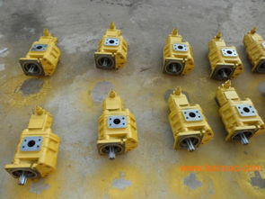 專(zhuān)業(yè)雙聯(lián)齒輪油泵選購(gòu)指南 廠家、型號(hào)、質(zhì)量與價(jià)格全解析